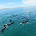 25 Top Things to do in the Baja
